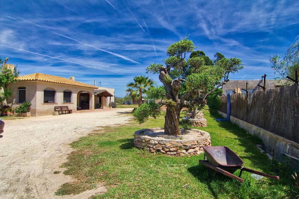 Photo of Outdoor in Deltebre