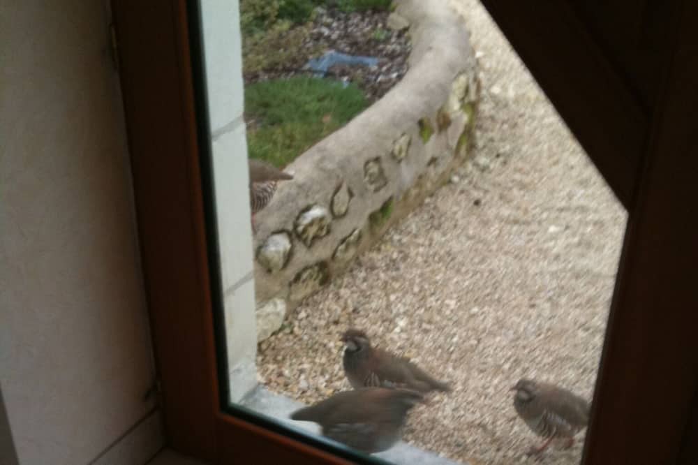 Photo of Others in Thure