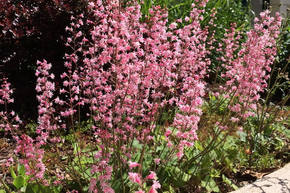 Photo of Outdoor in Thure