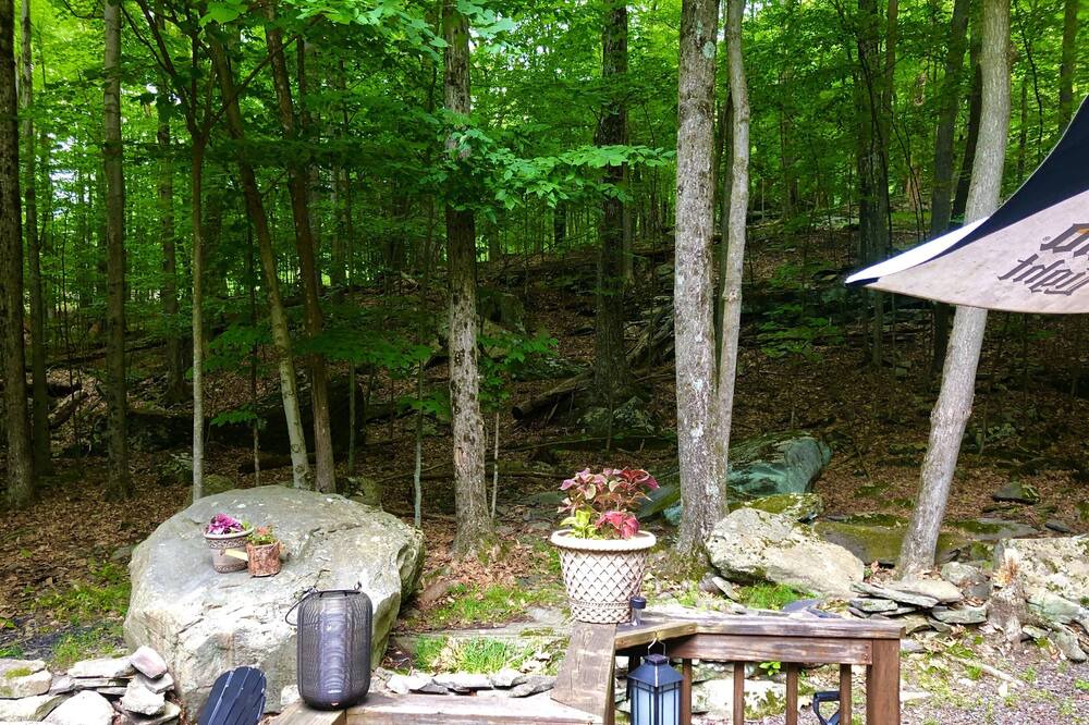 Photo of Outdoor in Lake Ariel