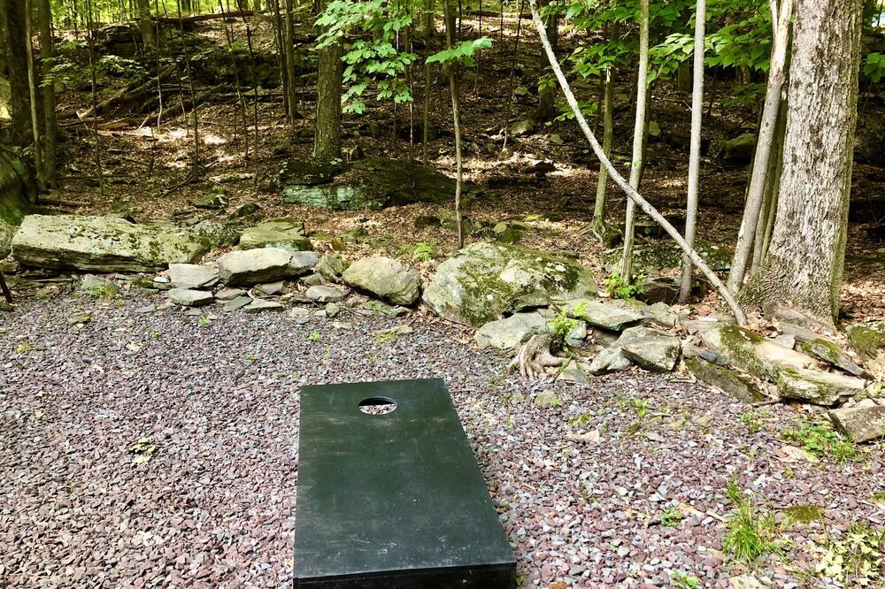 Photo of Outdoor in Lake Ariel