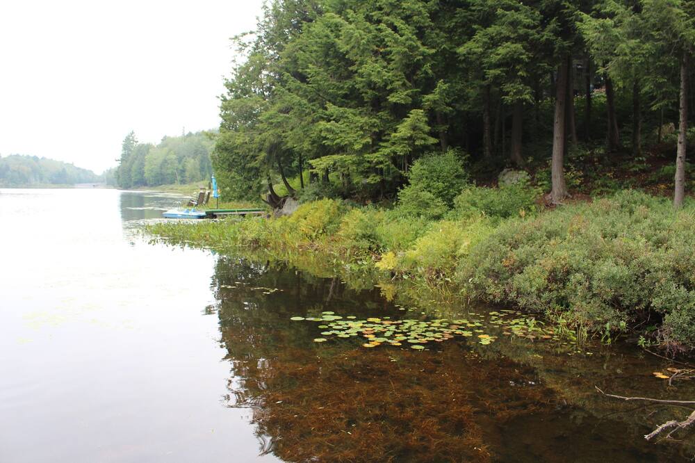 Photo of Outdoor in Gore