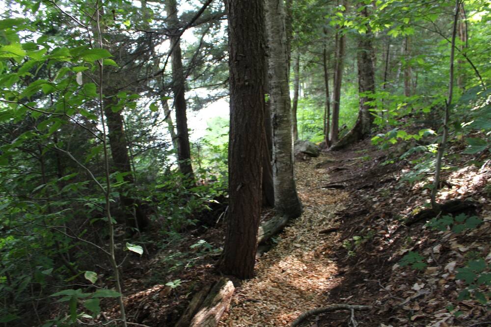 Photo of Outdoor in Gore