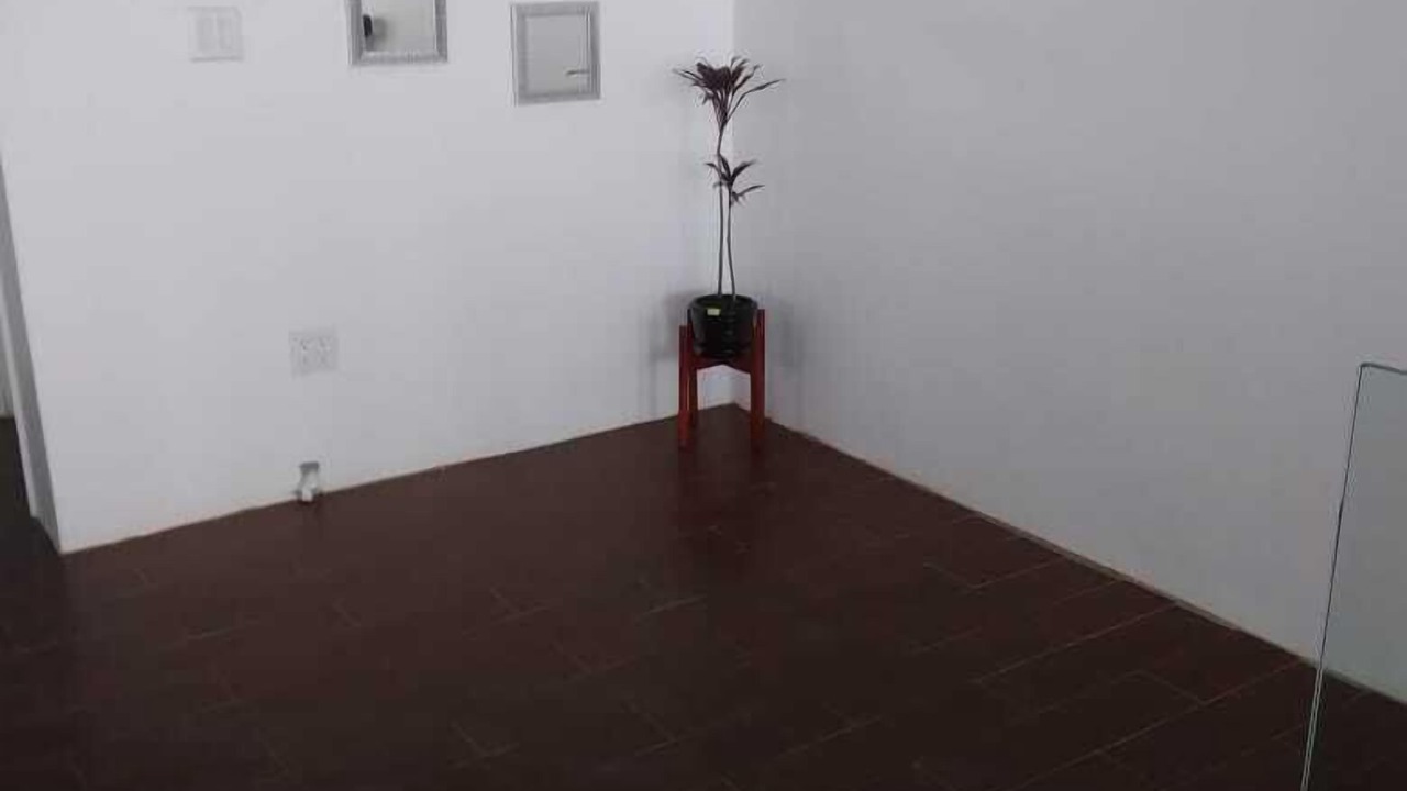 Photo of Others in La Joya