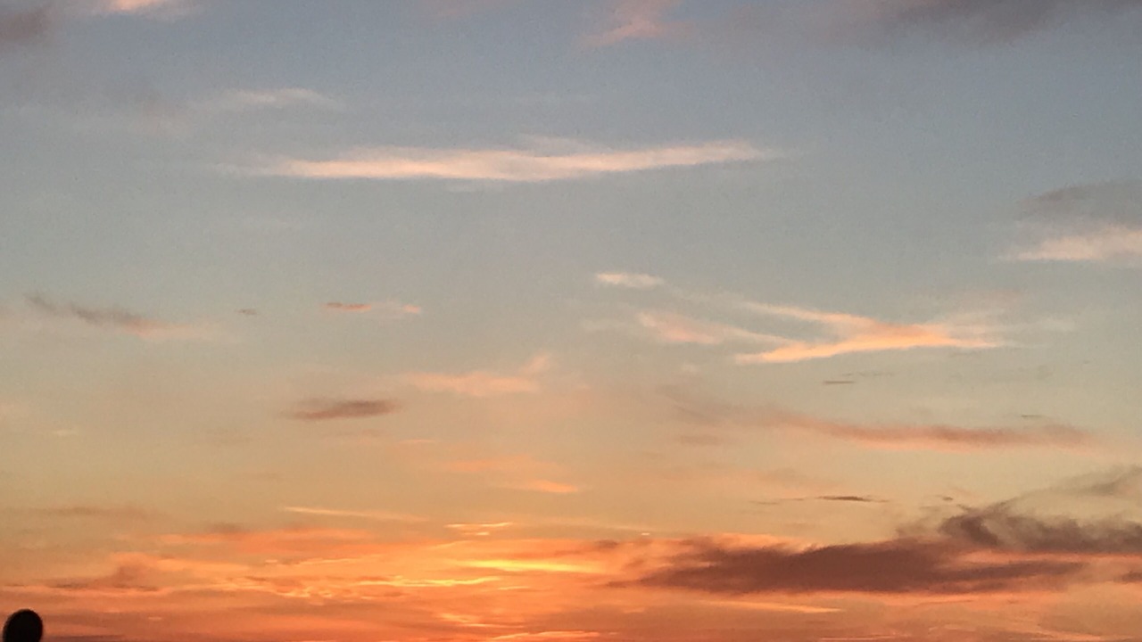 Photo of Others in La Joya