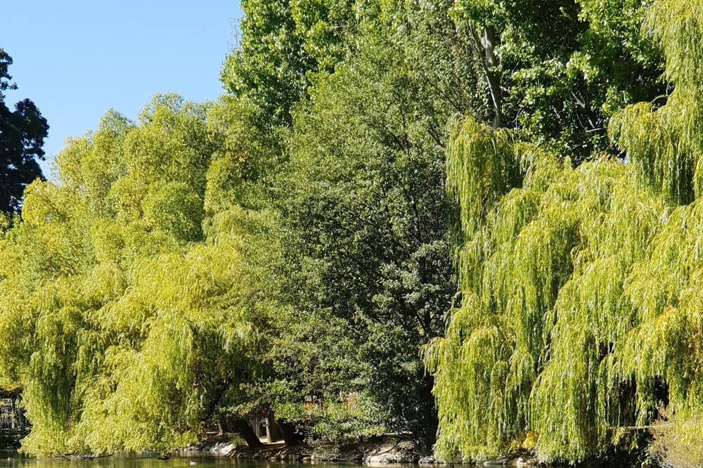 Photo of Outdoor in Err