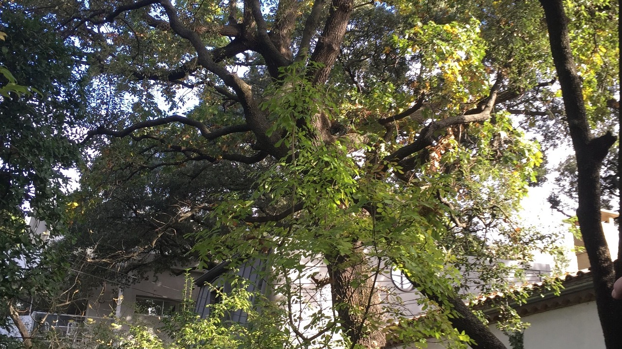 Photo of Outdoor in Les Cevennes