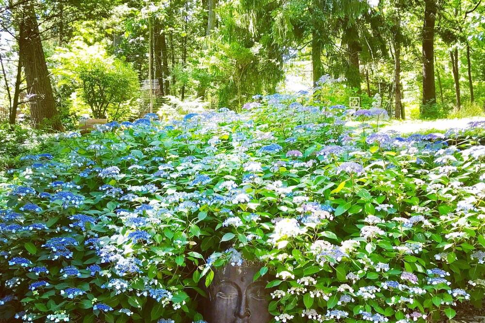 Photo of Outdoor in Park Forest Village