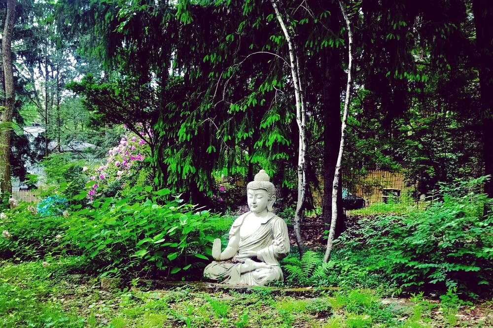 Photo of Outdoor in Park Forest Village