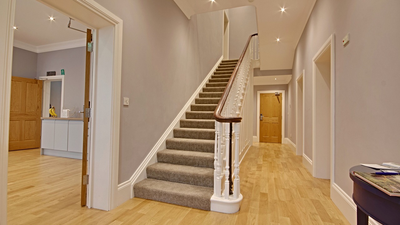 Photo of Others in New Forest District