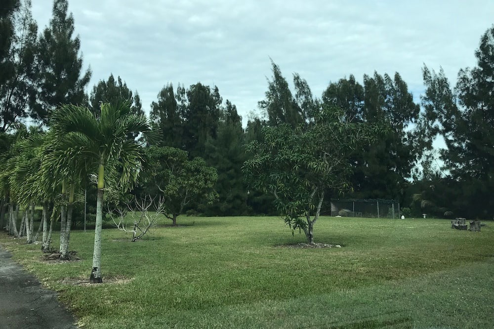Photo of Outdoor in Miramar