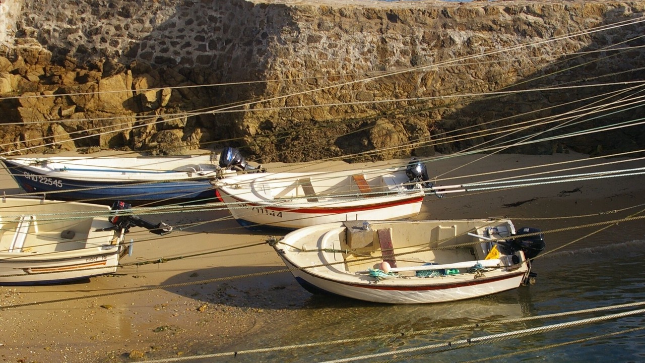 Photo of Others in Saint-Germain-sur-Ay