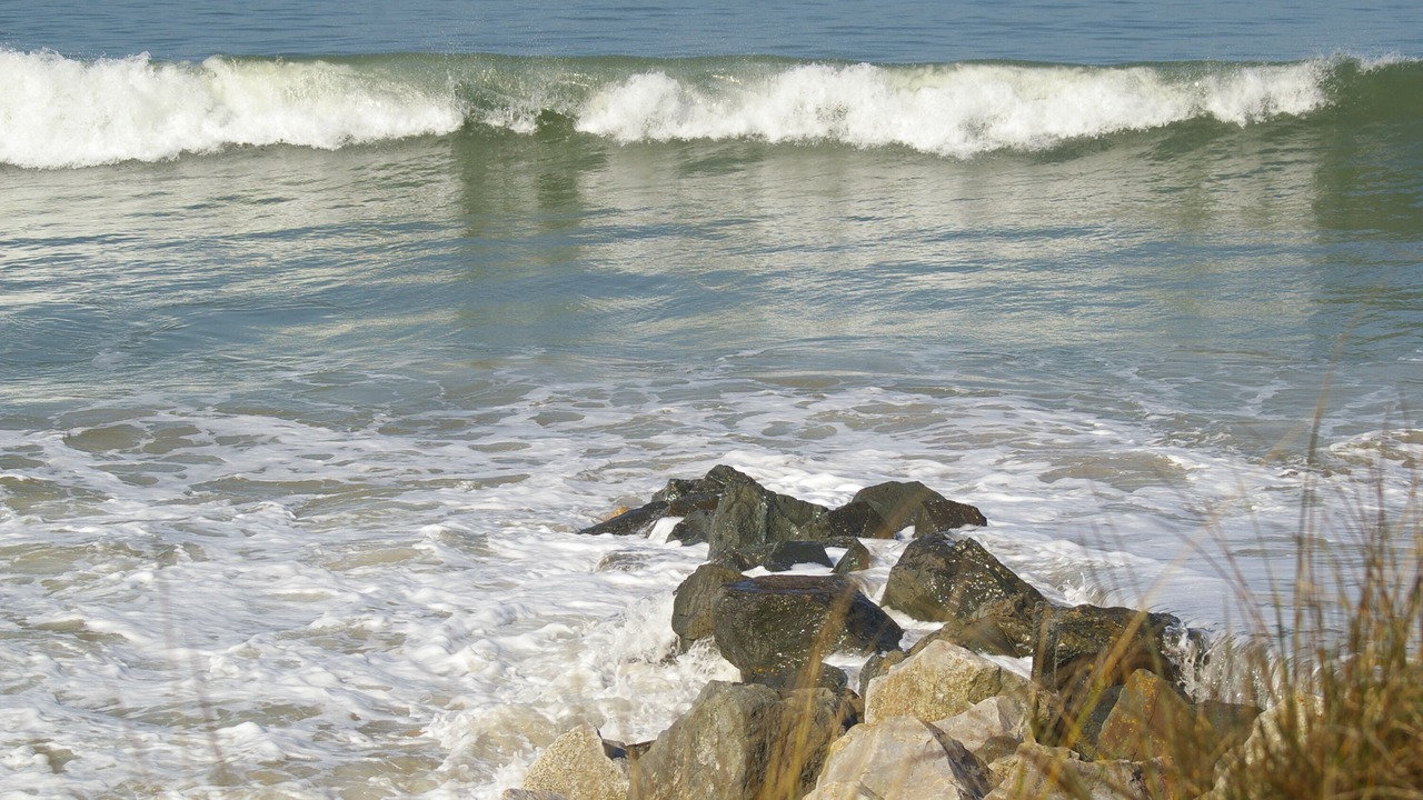 Photo of Others in Saint-Germain-sur-Ay