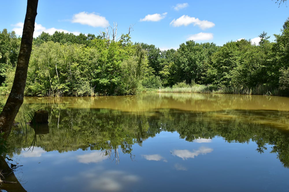 Photo of Outdoor in Beckley
