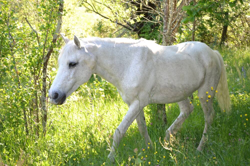Photo of Outdoor in Faugeres