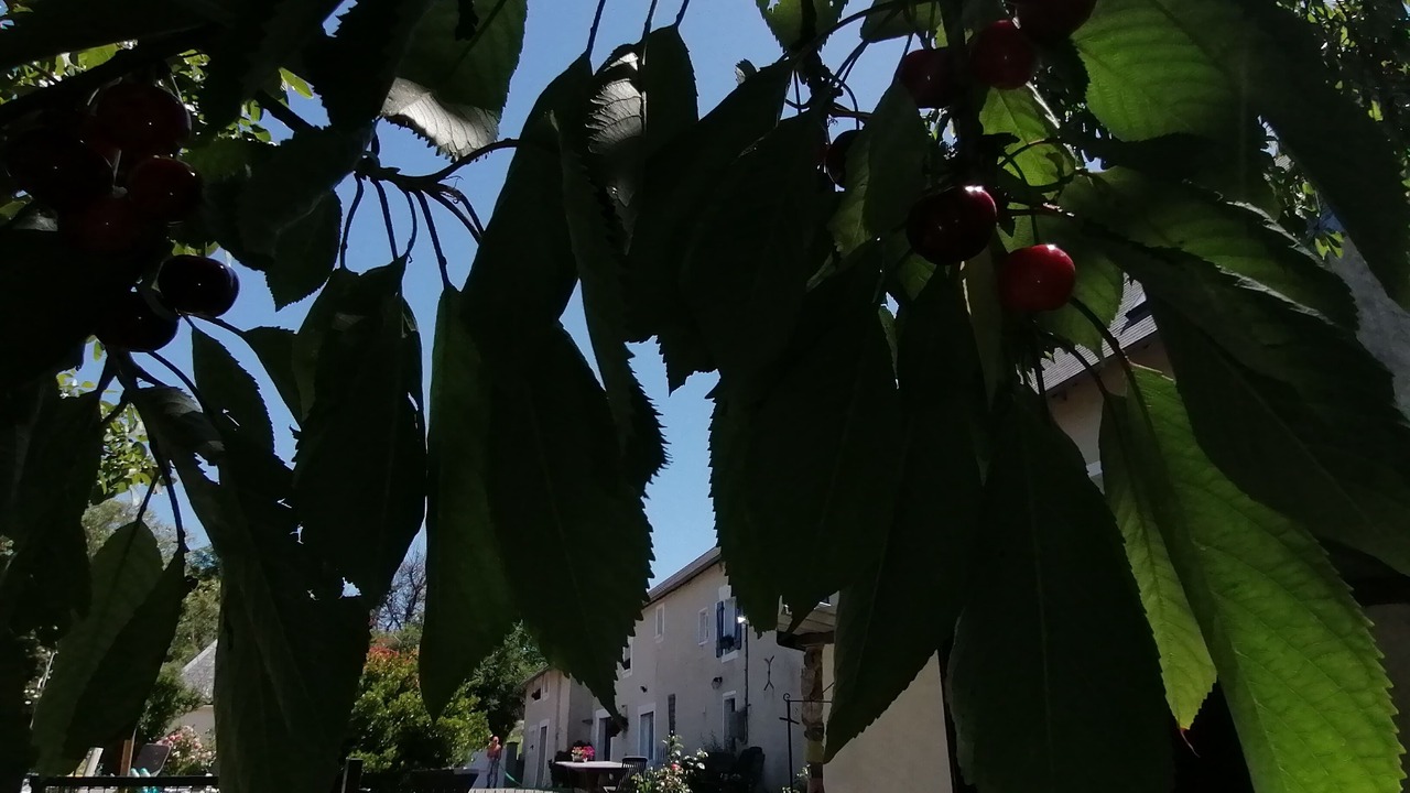 Photo of Outdoor in Gavray