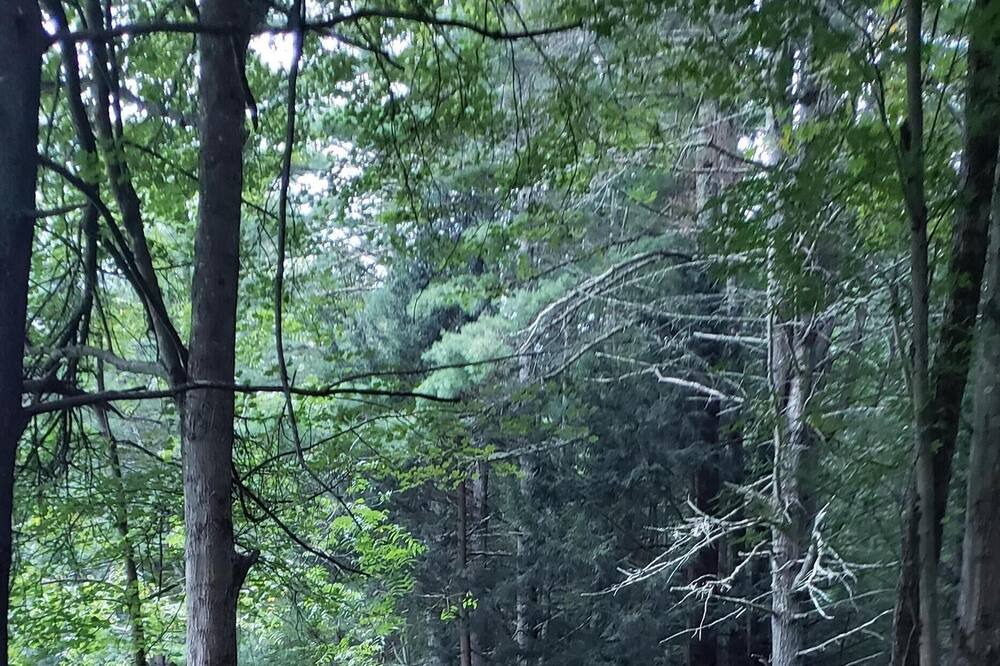 Photo of Outdoor in Huntington Mills