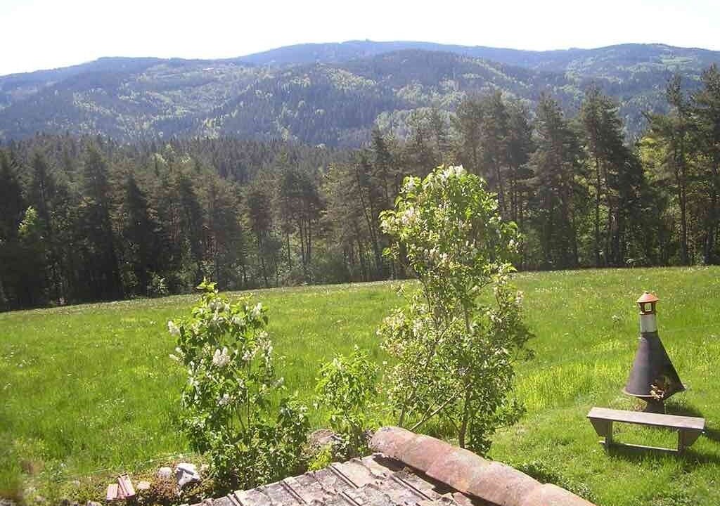Photo of Outdoor in Laval-sur-Doulon