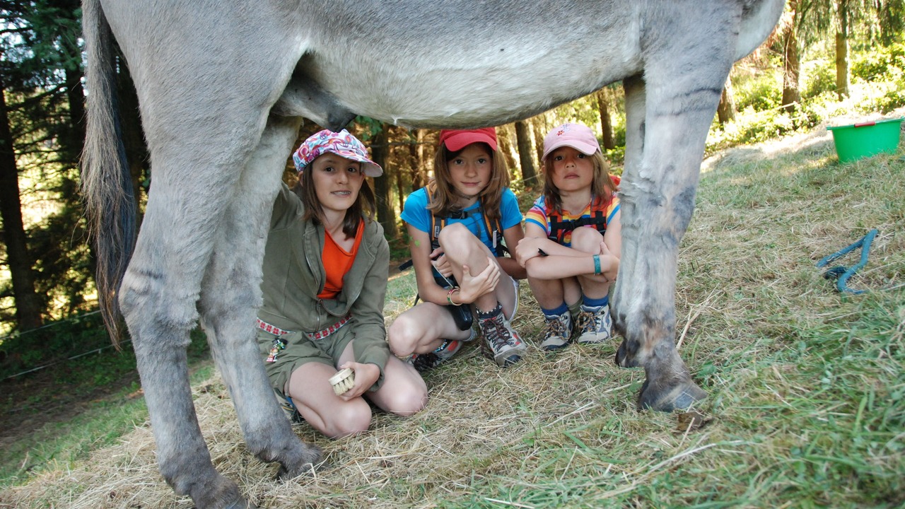Photo of Others in Laval-sur-Doulon