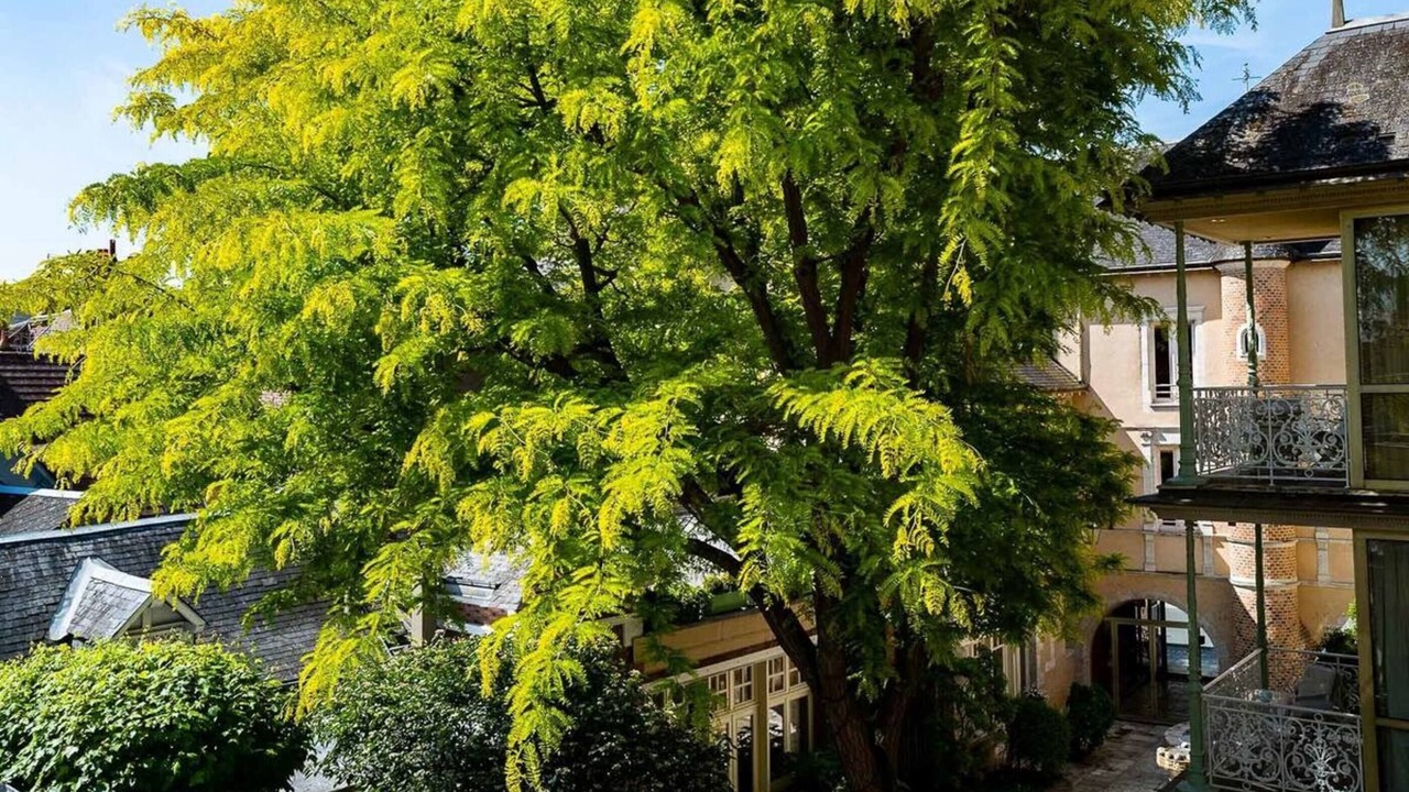 Photo of Patio Balcony in Romorantin-Lanthenay
