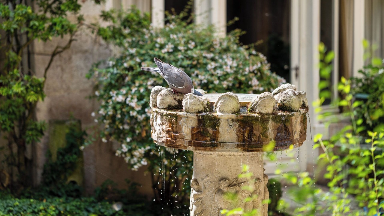 Photo of Outdoor in Romorantin-Lanthenay