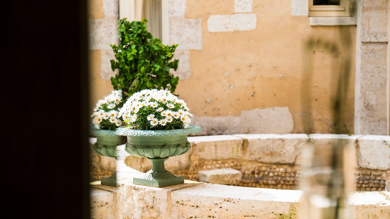 Photo of Outdoor in Romorantin-Lanthenay