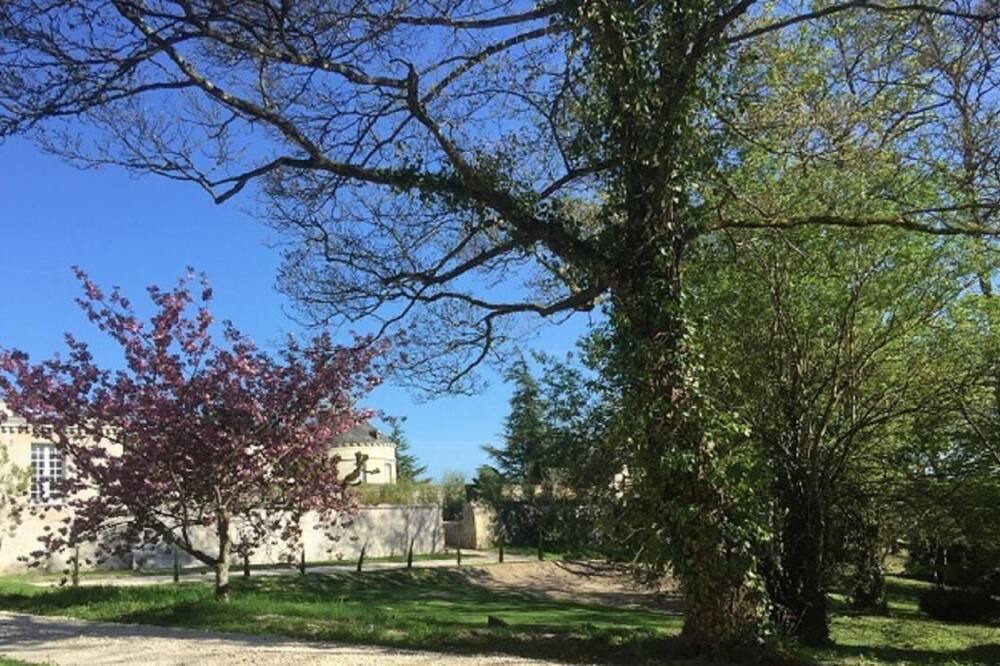 Photo of Others in Azay-le-Rideau