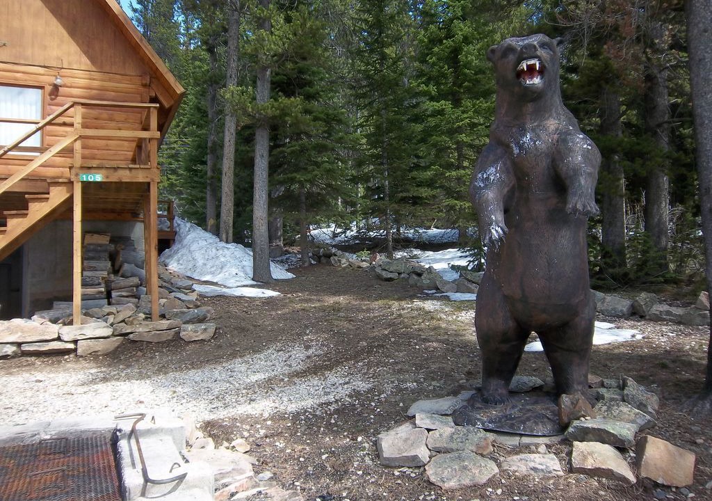 Photo of Outdoor in Cooke City-Silver Gate
