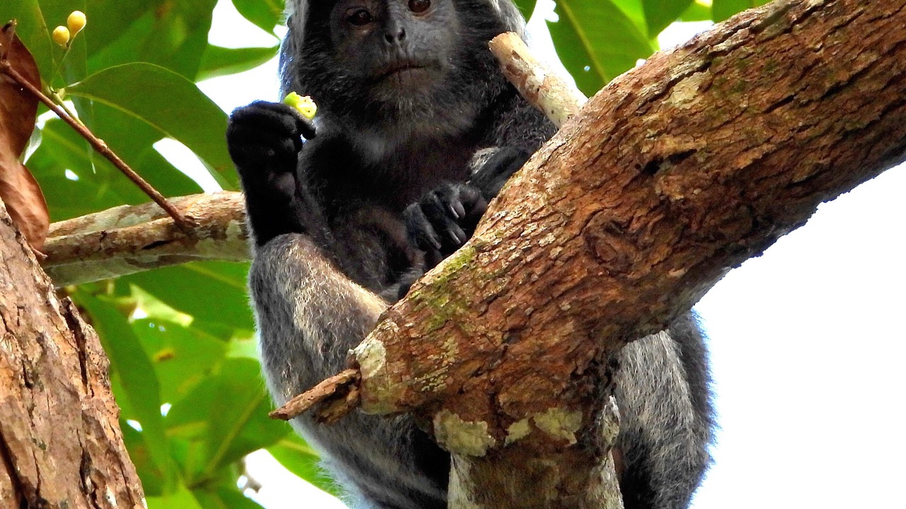 Photo of Outdoor in Kalipait
