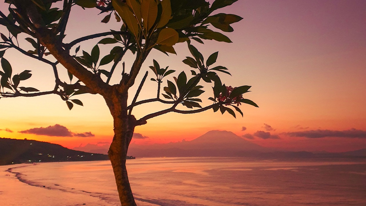 Photo of Others in Penida Island