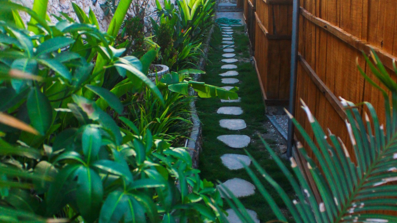 Photo of Outdoor in Penida Island