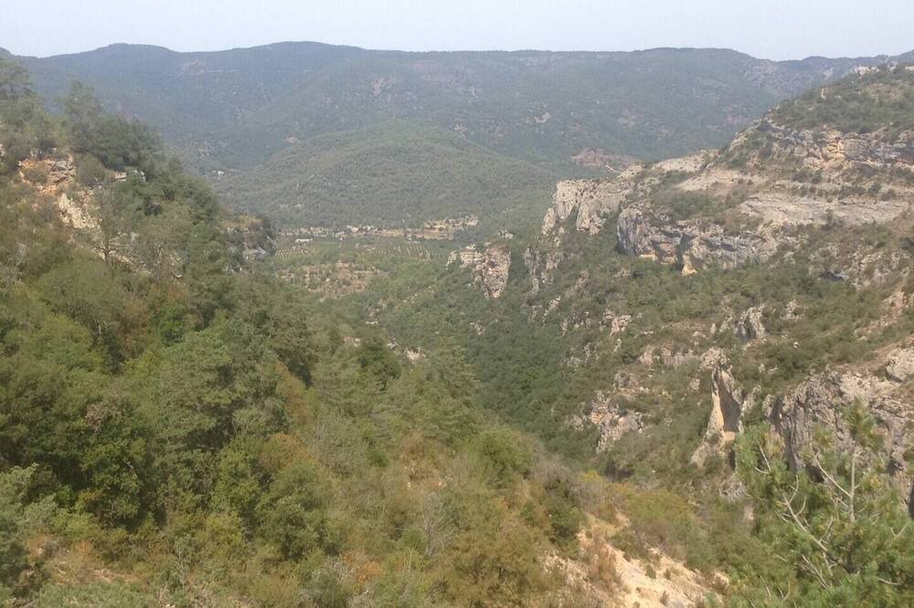 Photo of Others in Capafonts