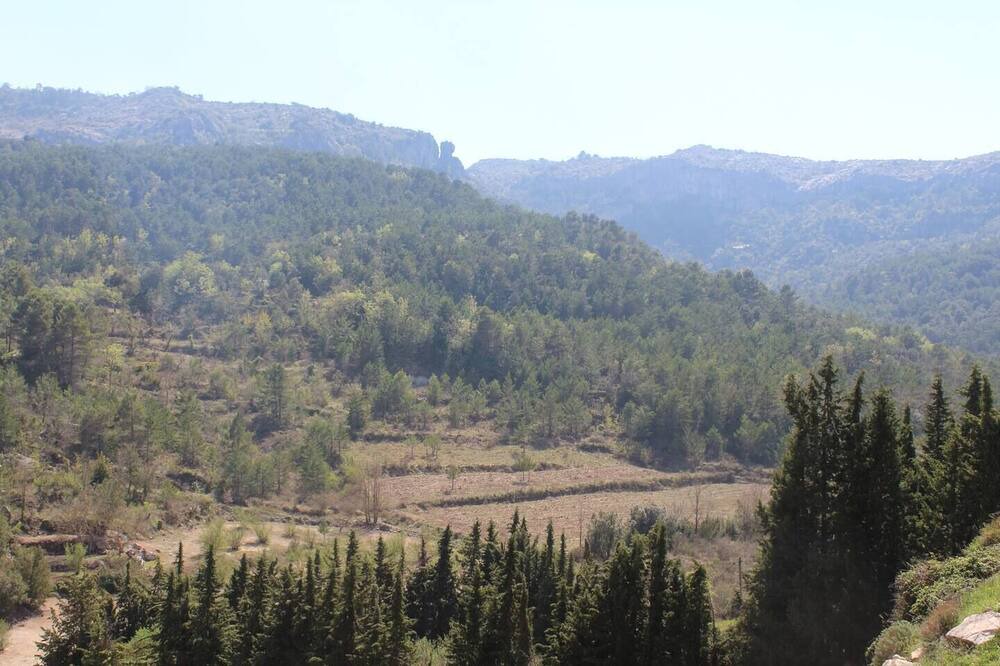 Photo of Others in Capafonts