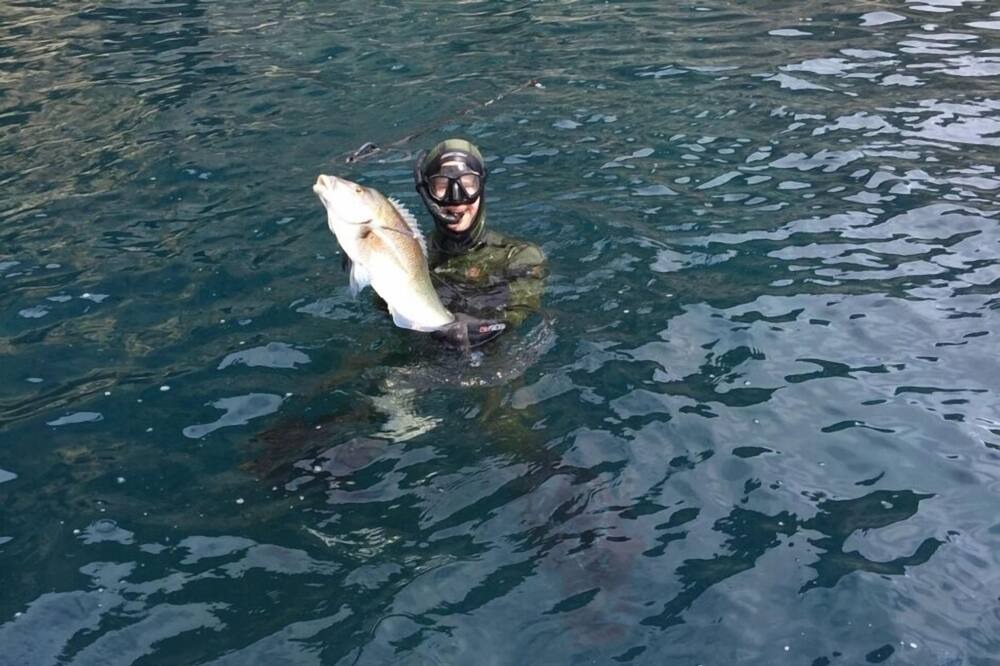 Photo of Others in Parekura Bay