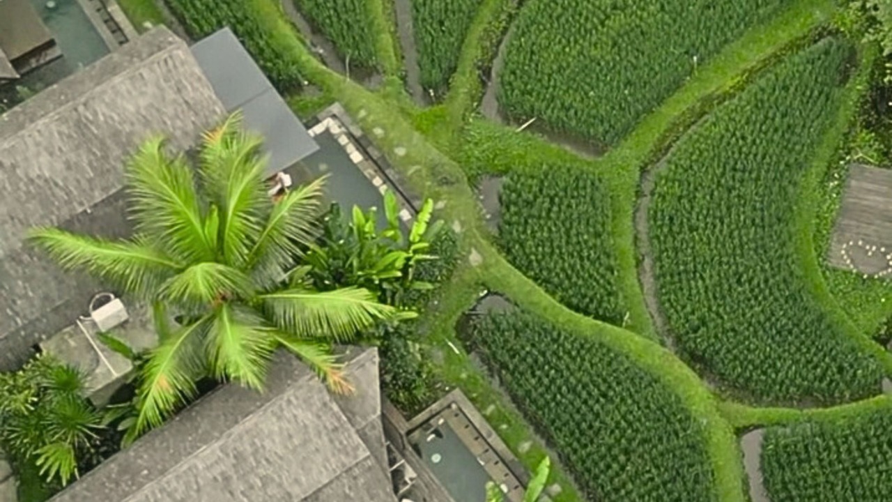 Photo of Others in Pengosekan