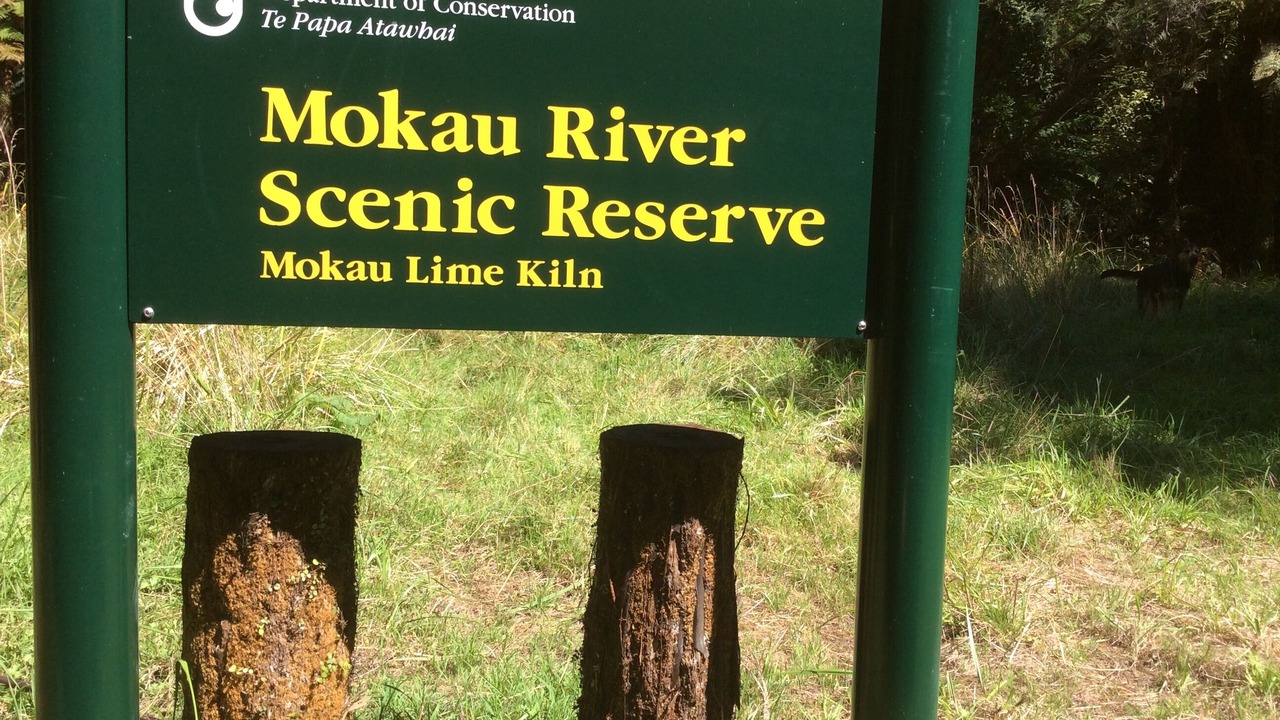 Photo of Outdoor in Mokau