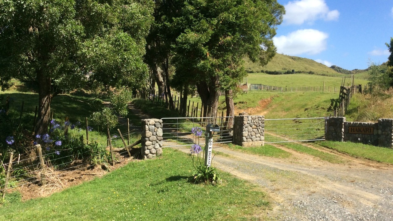 Photo of Outdoor in Mokau