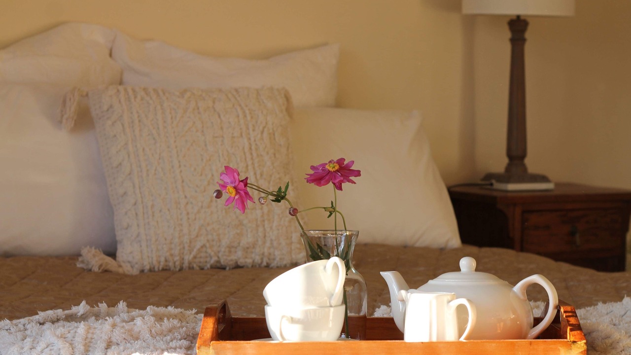 Photo of Others in Mokau