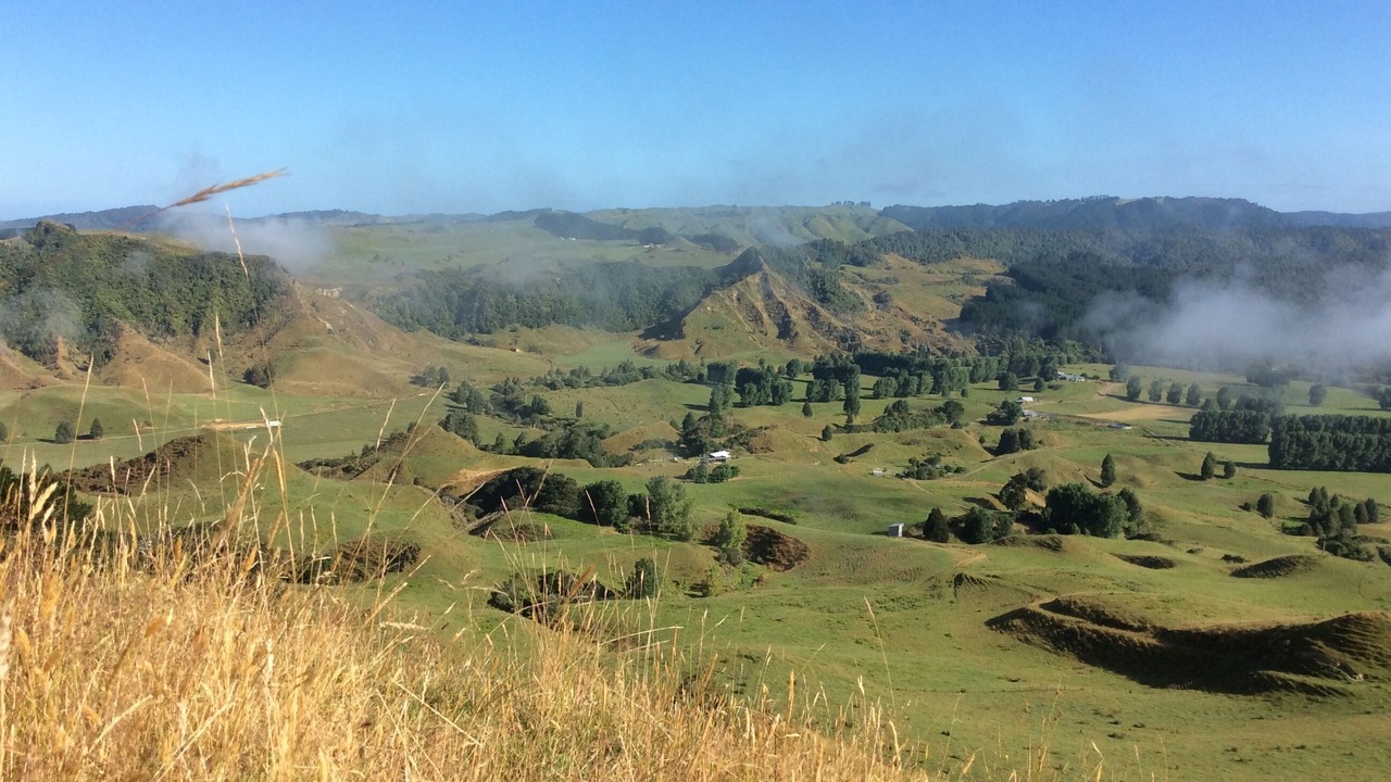 Photo of Others in Mokau