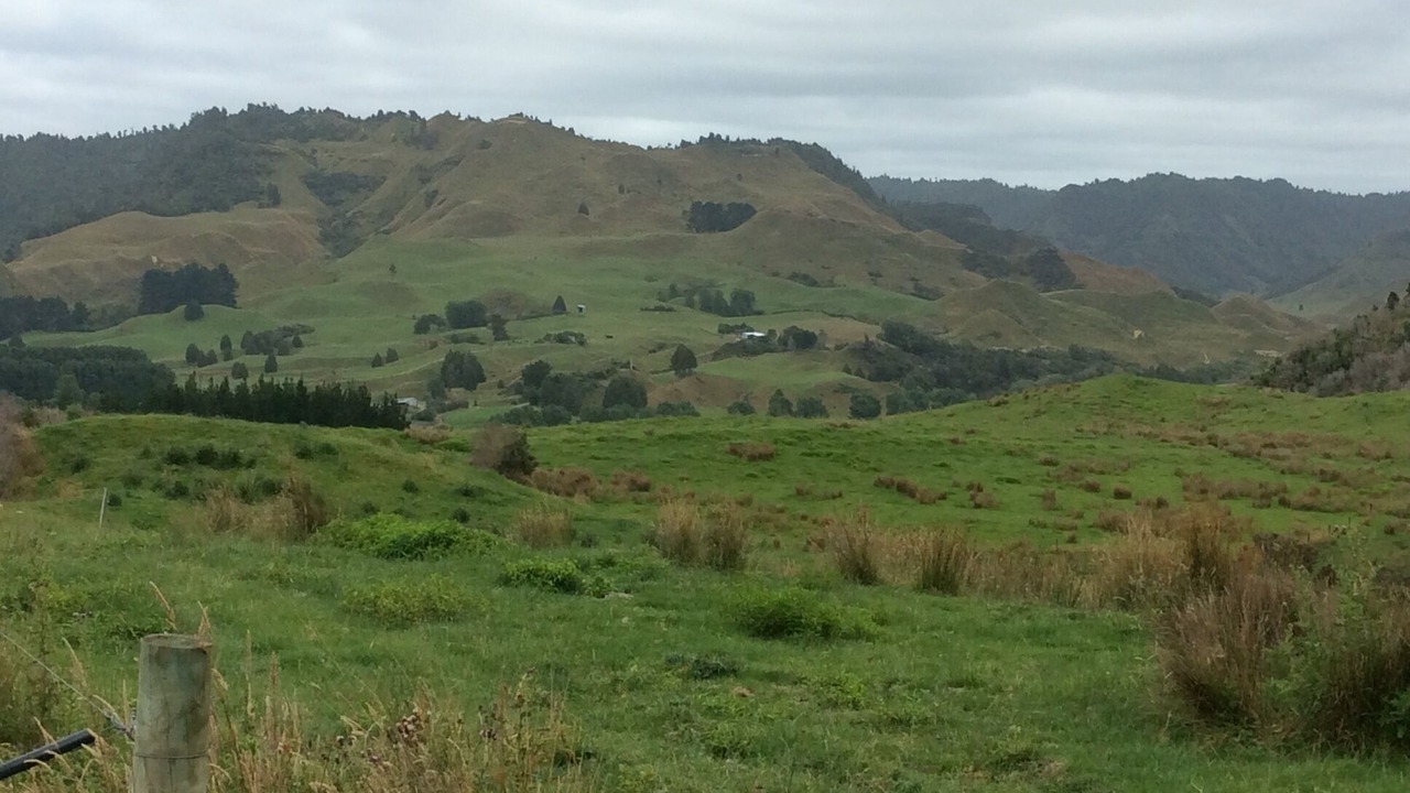 Photo of Outdoor in Mokau