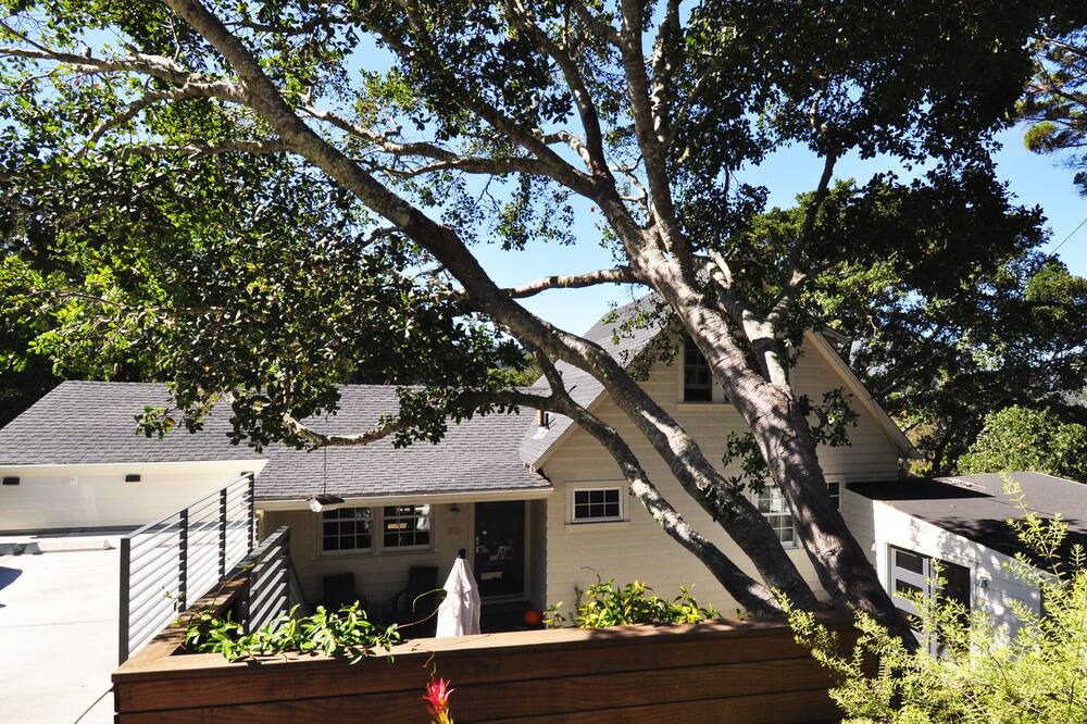 Photo of Others in Almonte