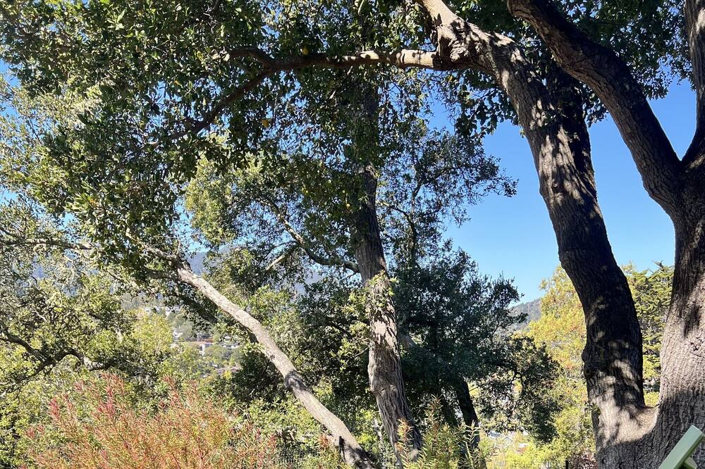 Photo of Others in Almonte