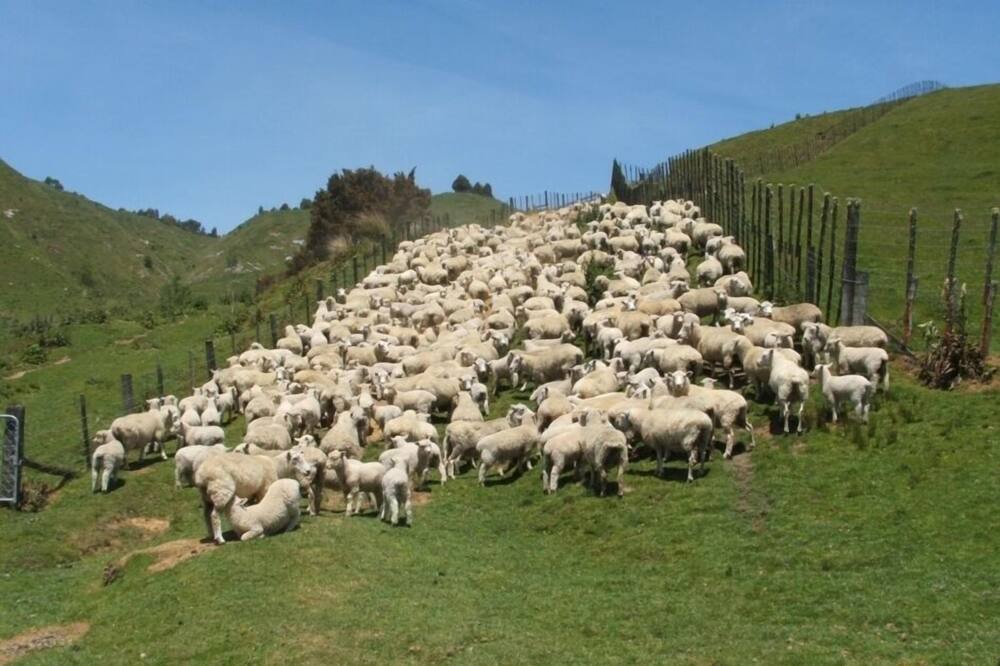 Photo of Others in Matiere