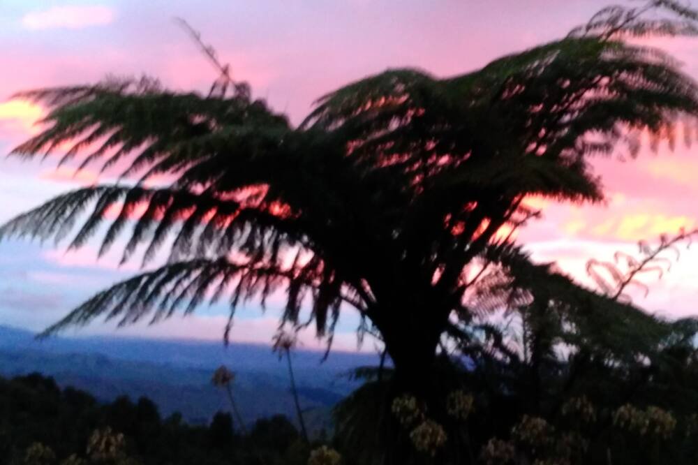 Photo of Outdoor in Matiere