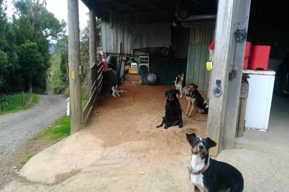 Photo of Others in Matiere