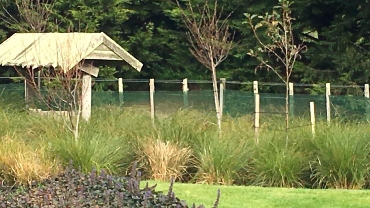 Photo of Outdoor in Wellington