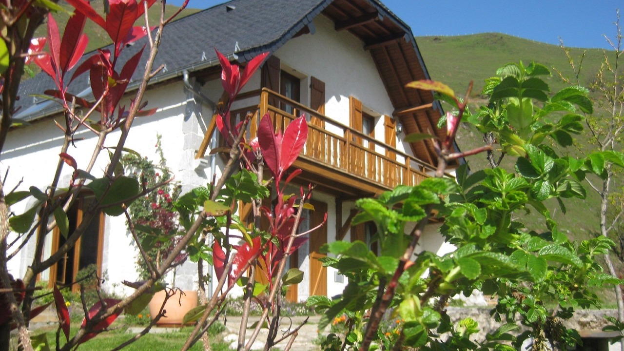 Photo of Outdoor in Borce