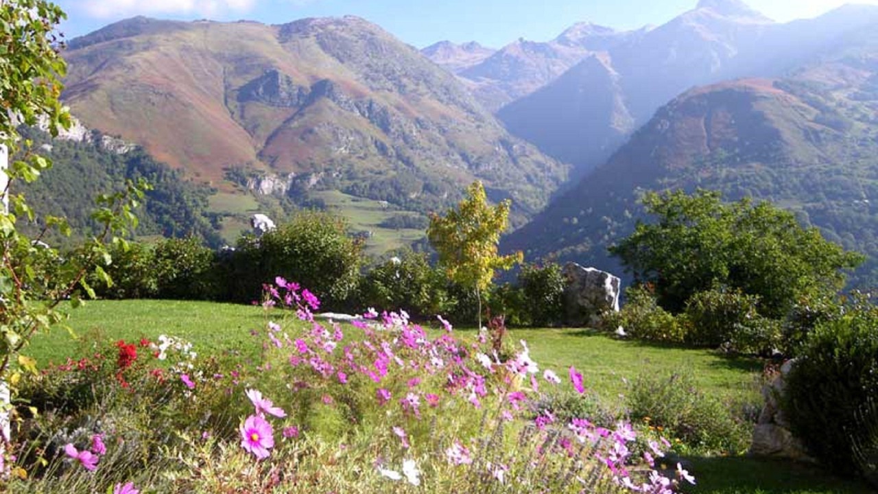 Photo of Outdoor in Borce