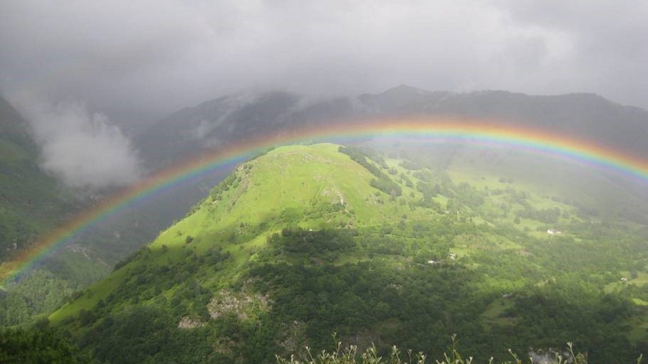 Photo of Others in Borce