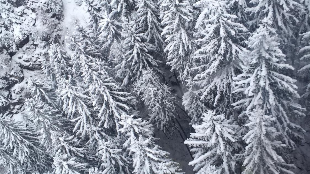 Photo of Others in Morzine